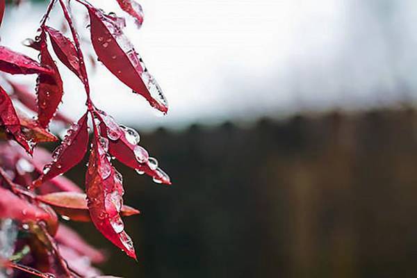 刘智昕生活照05.jpg