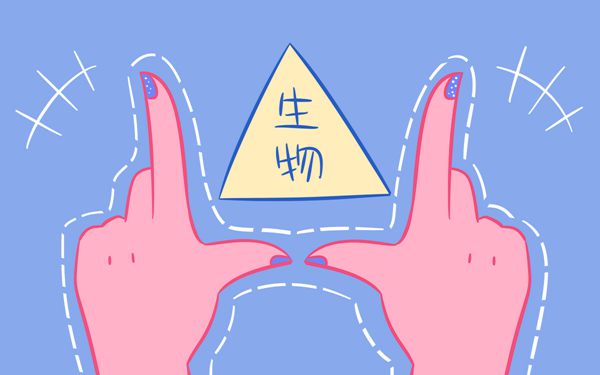 全国新课标高考生物考试大纲解读 全国新课标高考生物考试大纲解读