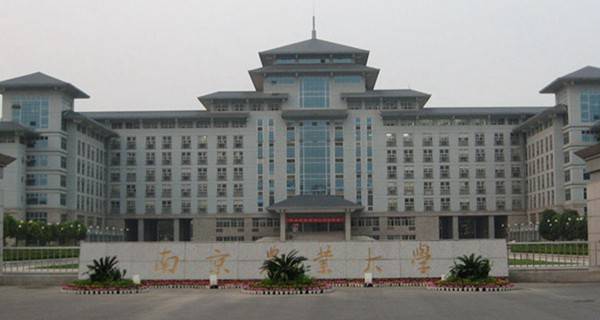 南京农业大学校门 南京农业大学校门