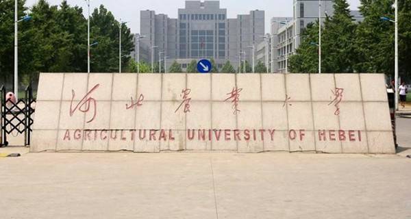 河北农业大学校门 河北农业大学校门