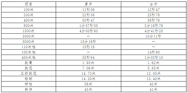 成绩标准 成绩标准