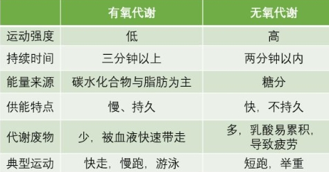 有氧代谢和无氧代谢的区别 有氧代谢和无氧代谢的区别