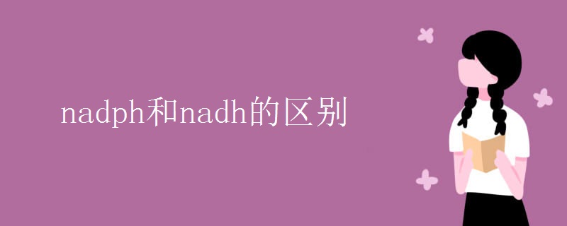 nadph和nadh的区别 nadph和nadh的区别