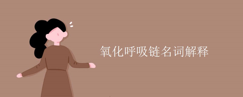 氧化呼吸链名词解释 氧化呼吸链名词解释
