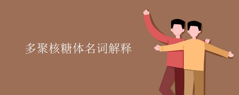 多聚核糖体名词解释 多聚核糖体名词解释
