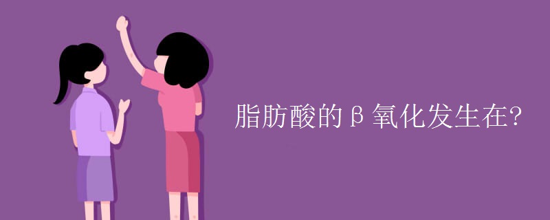 脂肪酸的β氧化发生在? 脂肪酸的β氧化发生在?
