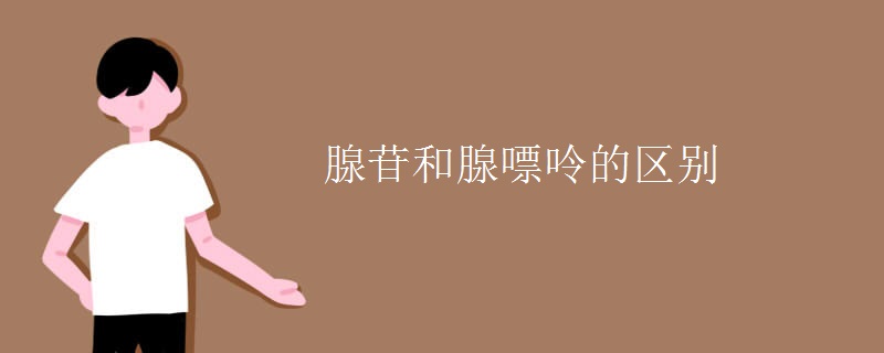 腺苷和腺嘌呤的区别 腺苷和腺嘌呤的区别