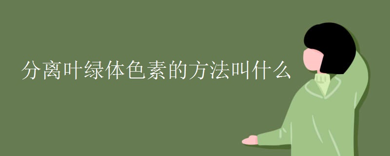 分离叶绿体色素的方法叫什么 分离叶绿体色素的方法叫什么