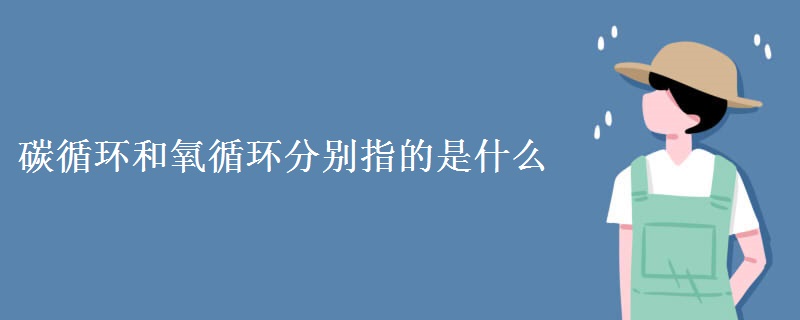 碳循环和氧循环分别指的是什么 碳循环和氧循环分别指的是什么