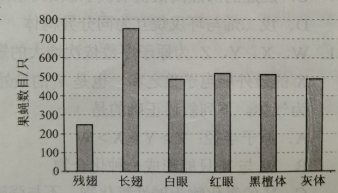2c173c1708cce0b78a89fe154780bca
