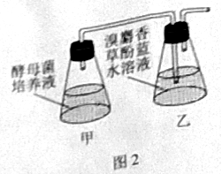 C:\Users\Administrator\AppData\Local\Temp\tianruoocr\截图_20213310083359.png