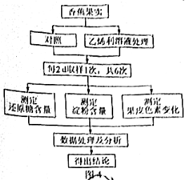 C:\Users\Administrator\AppData\Local\Temp\tianruoocr\截图_20213410083438.png