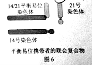 C:\Users\Administrator\AppData\Local\Temp\tianruoocr\截图_20213510083509.png