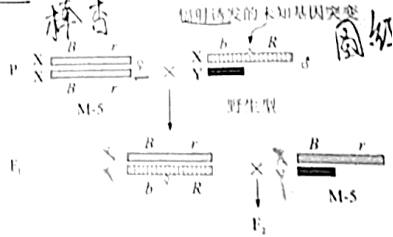 C:\Users\Administrator\AppData\Local\Temp\tianruoocr\截图_2021061009290729SS.png