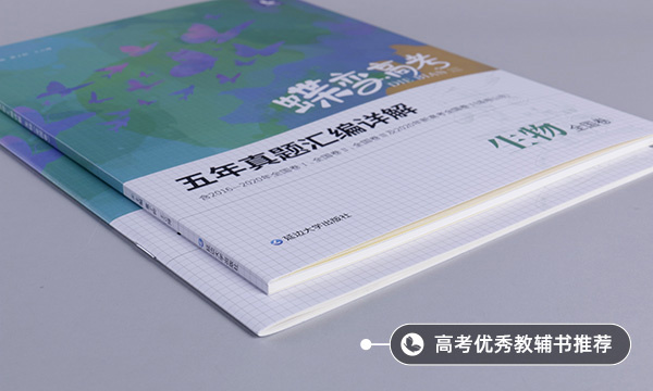 内质网的功能 内质网的功能