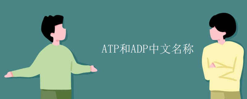 ATP和ADP中文名称 ATP和ADP中文名称