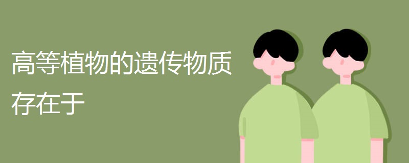 高等植物的遗传物质存在于 高等植物的遗传物质存在于
