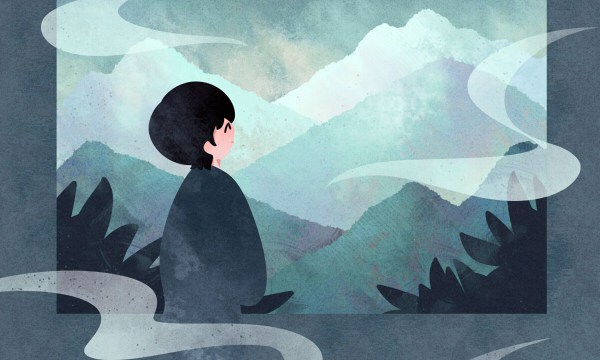 空军航空大学有什么专业 哪个专业比较好 空军航空大学有什么专业 哪个专业比较好