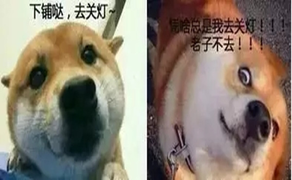 男生们在宿舍都会聊些什么?最后一个亮了... 男生们在宿舍都会聊些什么?最后一个亮了...
