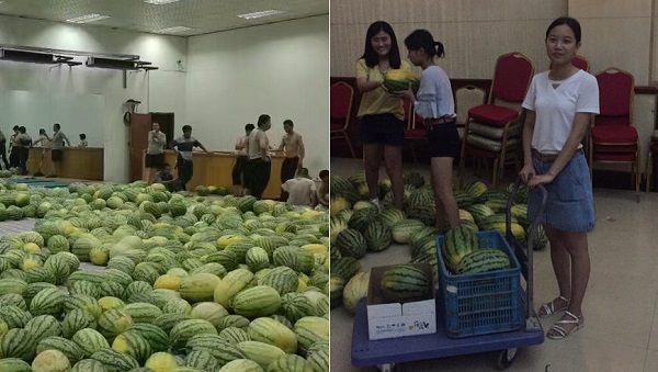 给暑假留校生发福利的学校 给暑假留校生发福利的学校