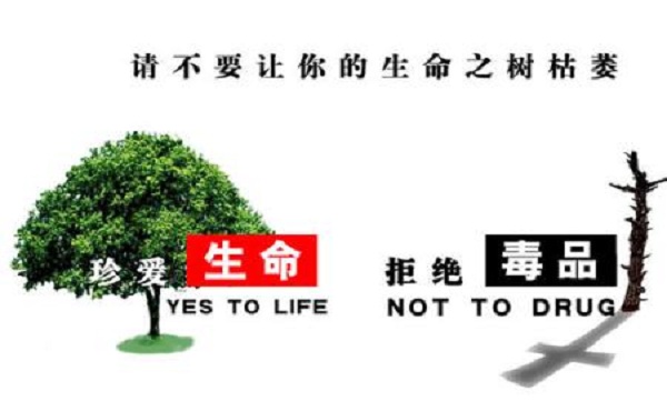 禁毒学专业全国大学排名 禁毒学专业全国大学排名