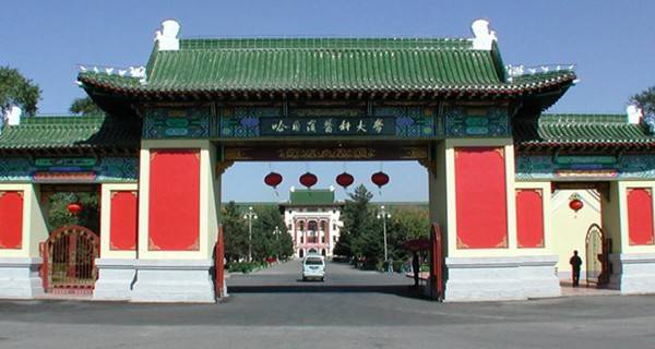 哈尔滨医科大学校门 哈尔滨医科大学校门