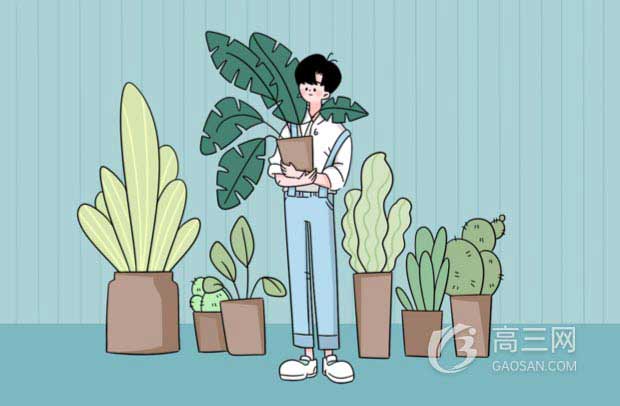 2021年广东高职自主招生学校排名 2021年广东高职自主招生学校排名