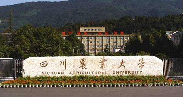 四川农业大学校门 四川农业大学校门