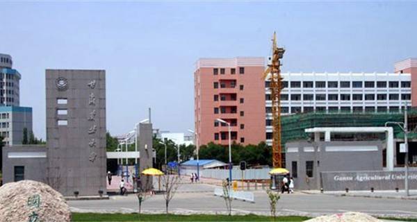 甘肃农业大学校门 甘肃农业大学校门