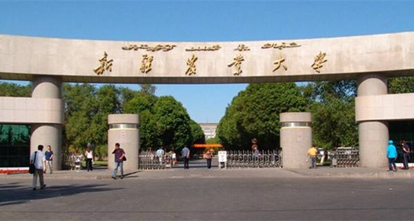 新疆农业大学校门 新疆农业大学校门