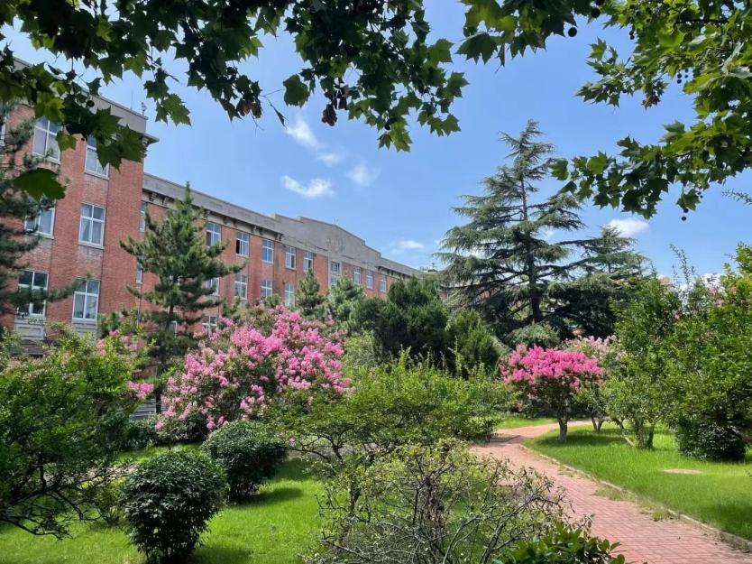 521 青岛理工大学——今天我要对你说喜欢 521 青岛理工大学——今天我要对你说喜欢