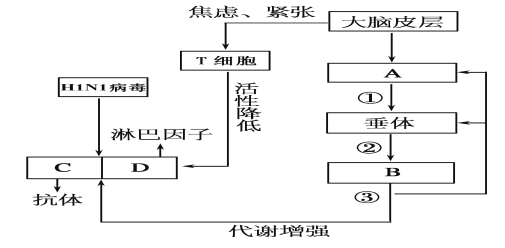 高中试卷网 http://sj.fjjy.org