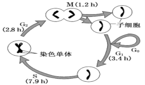 高中试卷网 http://sj.fjjy.org