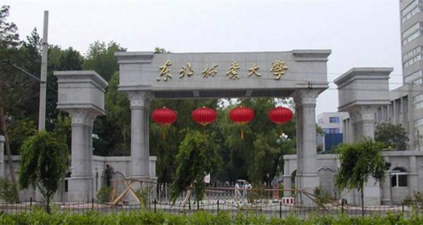 东北林业大学校门 东北林业大学校门
