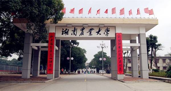 湖南农业大学校门 湖南农业大学校门