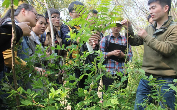 中药学专业