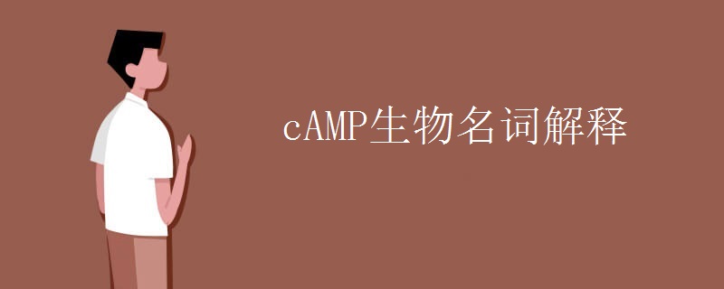 cAMP生物名词解释 cAMP生物名词解释