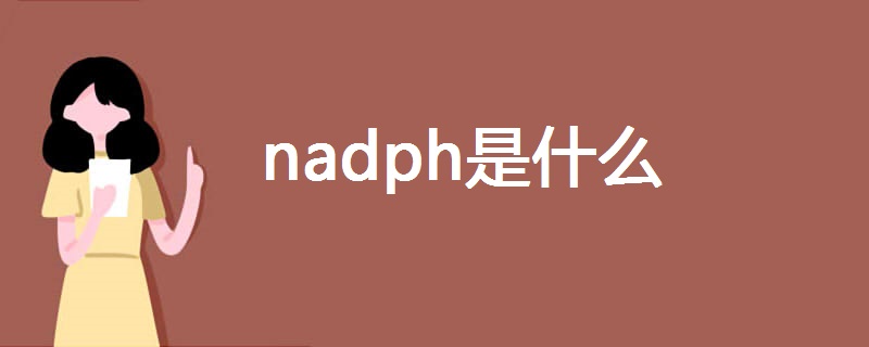 nadph是什么 nadph是什么