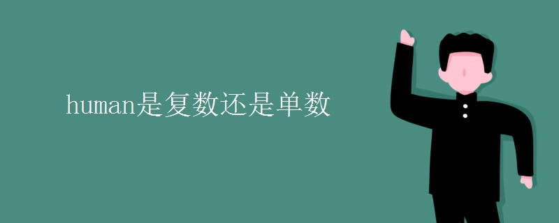 human是复数还是单数 human是复数还是单数