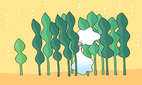 千万别学计算机网络技术 原因有哪些 千万别学计算机网络技术 原因有哪些