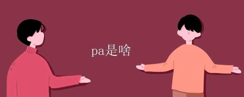 pa是啥 pa是啥