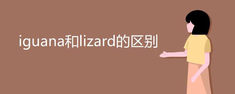 iguana和lizard的区别 iguana和lizard的区别
