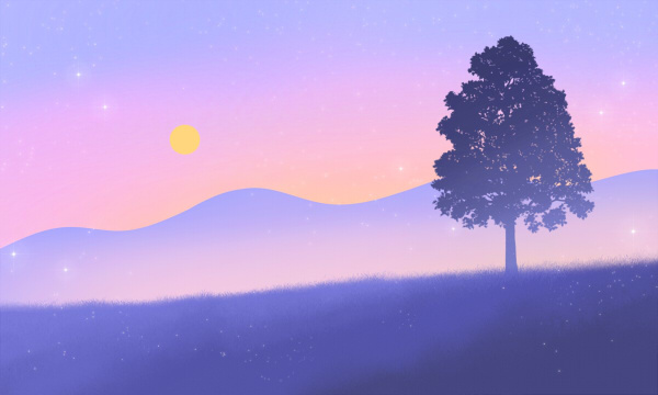 女生学什么技术最有前景 哪些最吃香 女生学什么技术最有前景 哪些最吃香