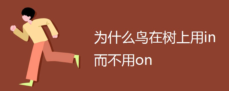 为什么鸟在树上用in而不用on.jpg 为什么鸟在树上用in而不用on.jpg