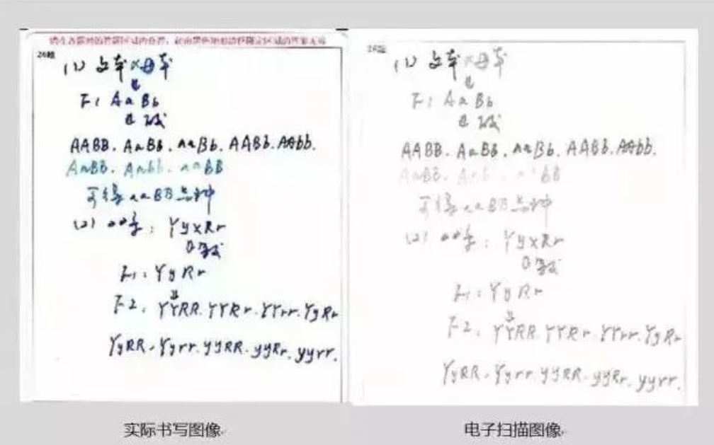 天津2023英语高考答题卡样本模板 填写有哪些注意事项