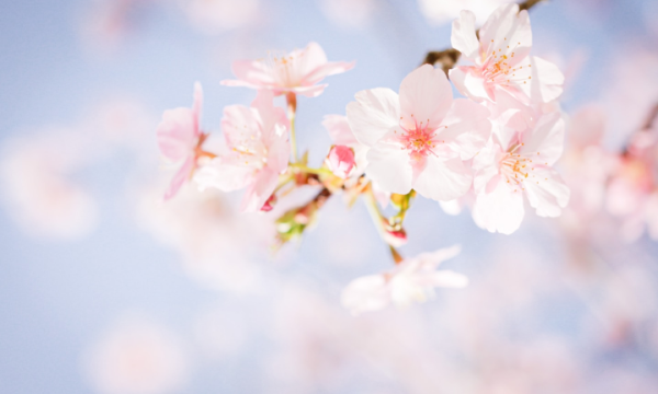花式送考只愿你金榜题名具体情况 怎么回事 花式送考只愿你金榜题名具体情况 怎么回事
