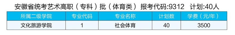 2023年安徽国际商务职业学院各省招生计划及招生人数 都招什么专业 2023年安徽国际商务职业学院各省招生计划及招生人数 都招什么专业