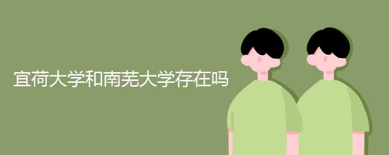 宜荷大学和南芜大学存在吗 宜荷大学和南芜大学存在吗